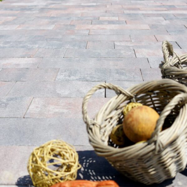 Savaria Vario Natur