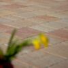 Bologna Varió Melírozott termék felfüggesztve