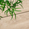 semmelrock-airpave-selva-lapok-eucalipto-02 AirPave Selva porcelán lapok