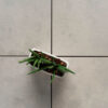 semmelrock-airpave-toledo-lapok-gris-01 AirPave Toledo porcelán lapok